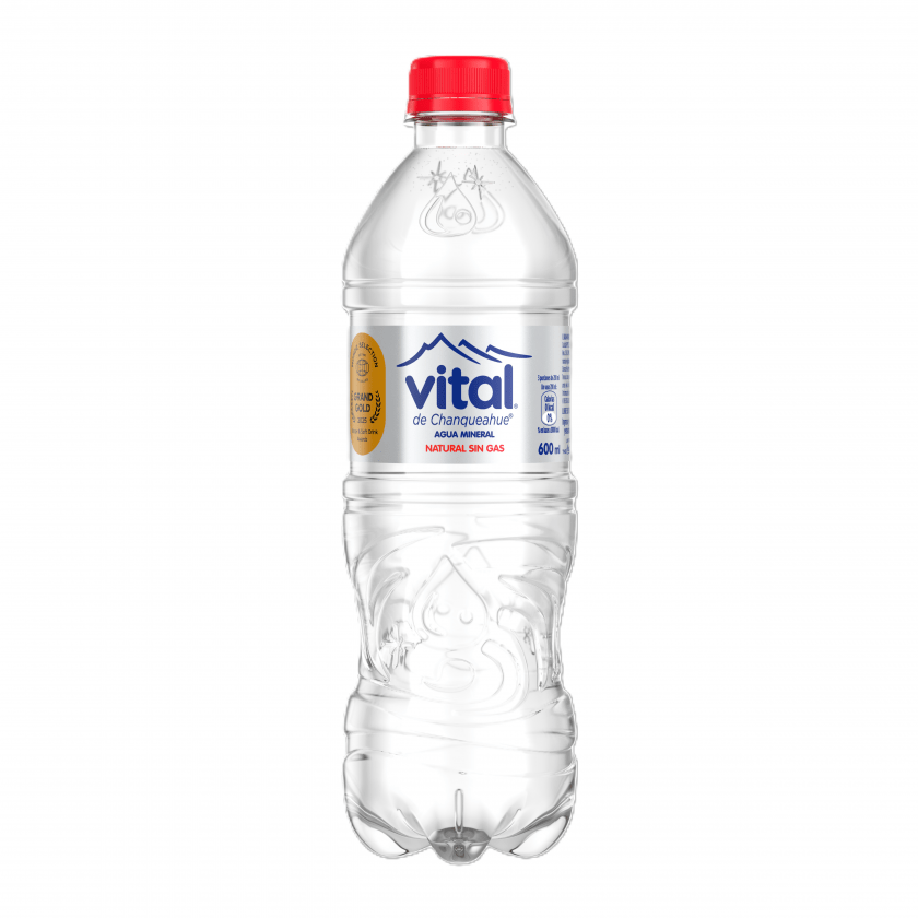 Agua Vital Sin Gas 600ml