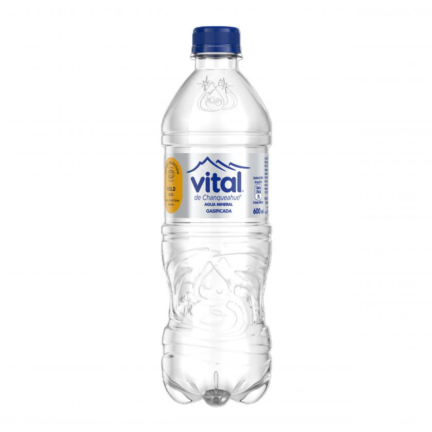 Agua Vital Con Gas 600ml